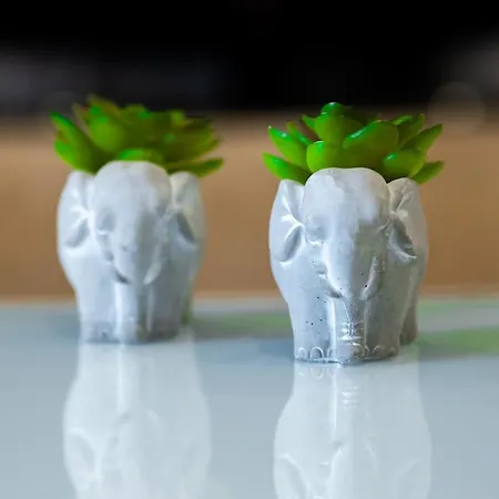 Apartament Aedna Wlora