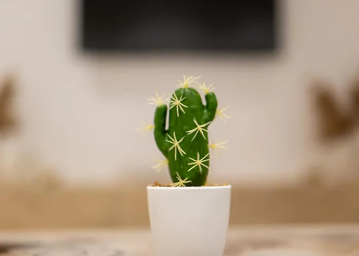 Appartamento Aedna *